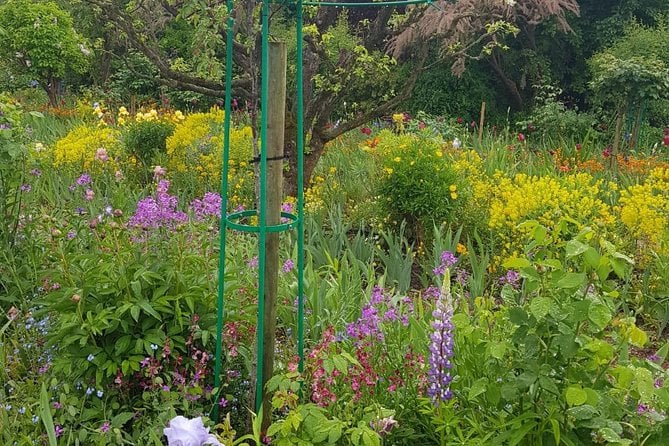 Trip Giverny Private Tour 5 Hours 1 to 2 Pax Claude Monet - Booking Information