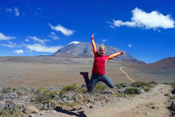 5 Days (4 Night) Marangu Route - Meals and Services