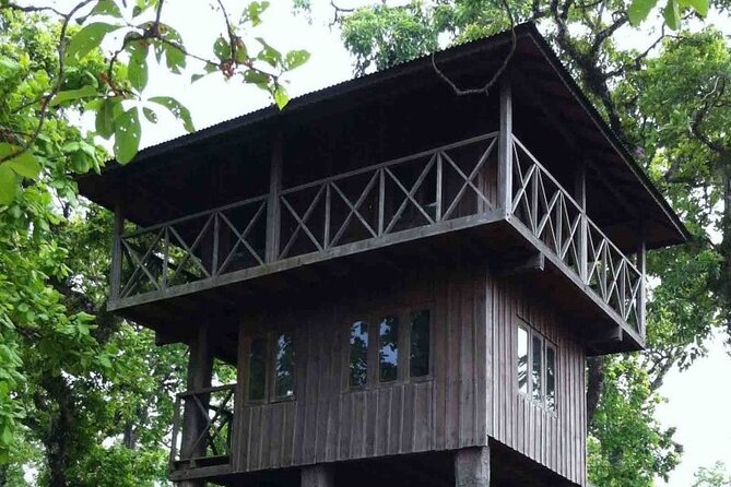 3-Days Tower Night Stay Inside Jungle Tour - Tour Overview