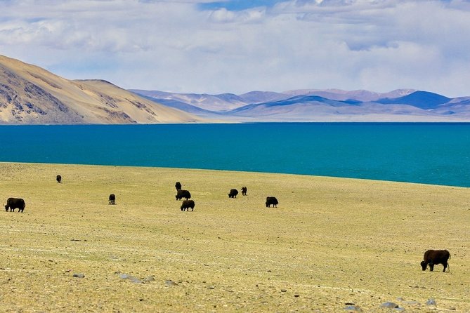 6-Day Small Group Lhasa Tour Review