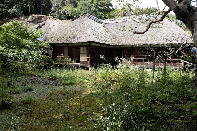 【Kamakura Zen – Private 5 Hour Walking】 Guided Tour With Lunch - Immerse Yourself in Japanese History and Culture