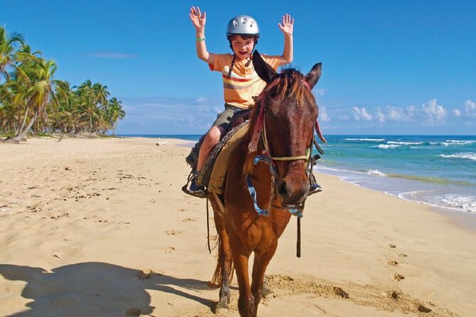 Horseback Riding Along the Beach