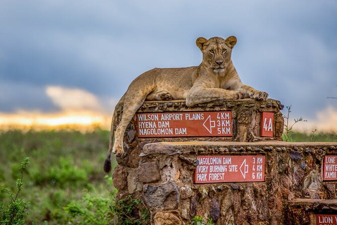 Nairobi National Park Tour - Cancellation and Booking Policy