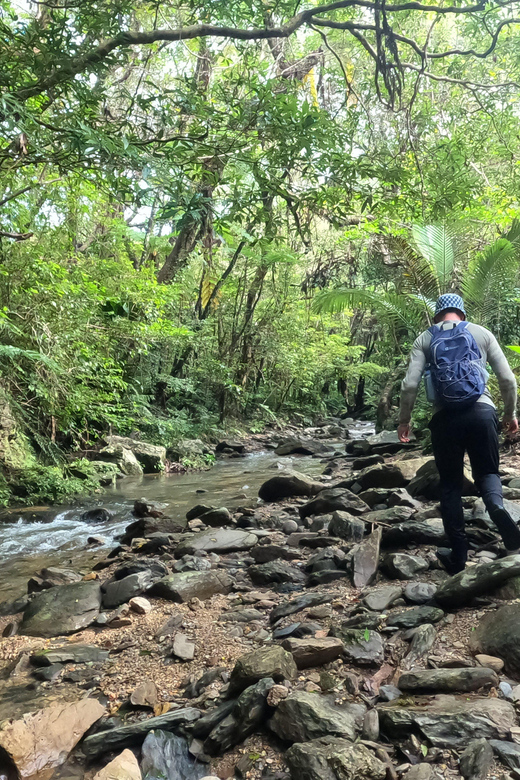 Okinawa: Jungle River Trek: Private Tour in Yanbaru - Overview of the Okinawa Jungle River Trek