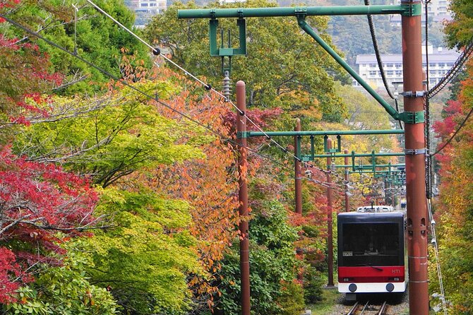 All Inclusive・Private Tour Make Your Own Adventure in Hakone - Indulge in Delectable Japanese Cuisine