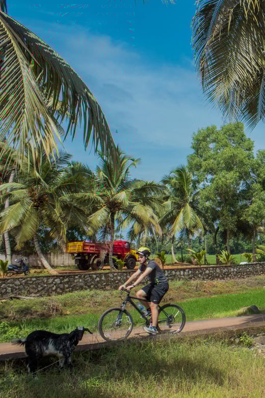 Beach and Backwaters of Kerala Ride - Frequently Asked Questions