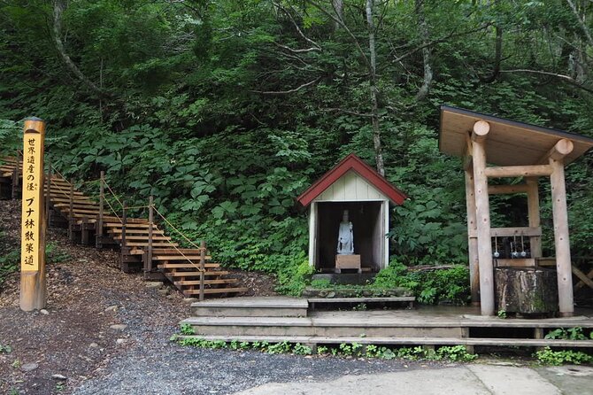 Full Day World Heritage Shirakami Mountains Hiking Tour - Transportation and Meeting Details