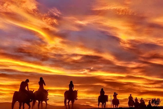 Las Vegas Horseback Ride With Meal - Logistics and Transportation