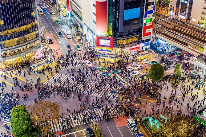 Tokyo Private Driving Tour by Car/Van With English Chauffeur