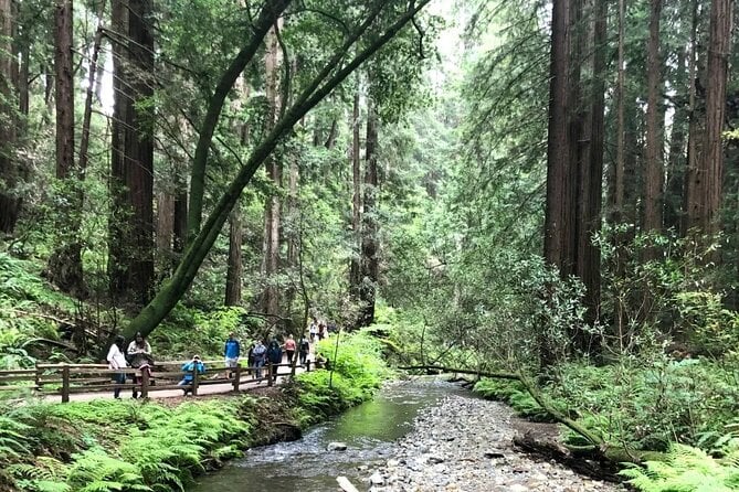Muir Woods, Sausalito, Cavallo Point and Marin Headlands Tour - Booking and Accessibility