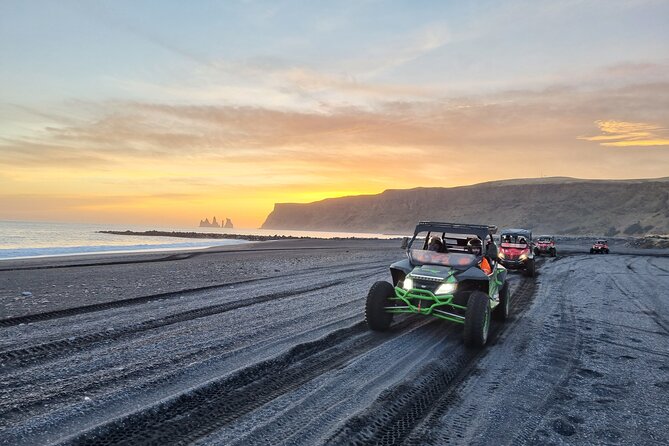 Private South Coast and Black Beach Buggy Tour - What to Expect