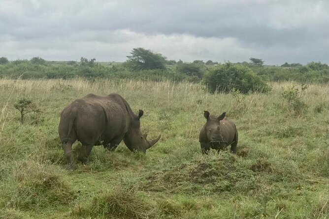 Nairobi National Park Tour - Visitor Information