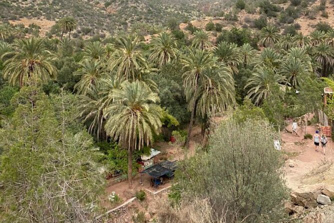 Agadir Paradise Valley With Mountain Lunch & Local Breakfast