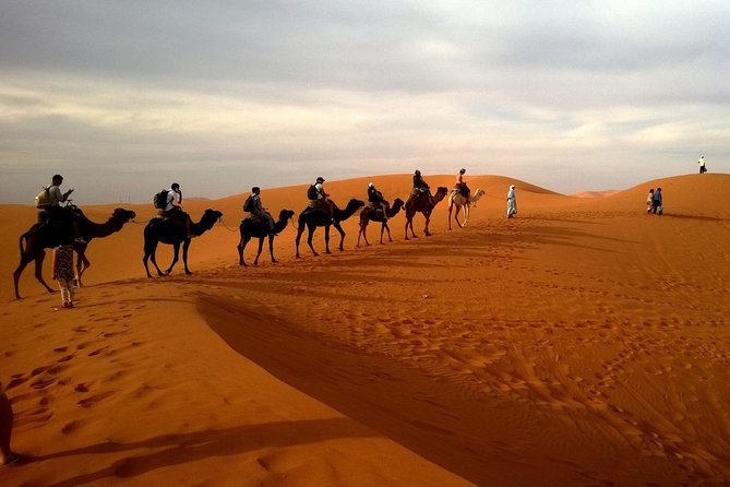 Desert Safari (Private Vehicle)