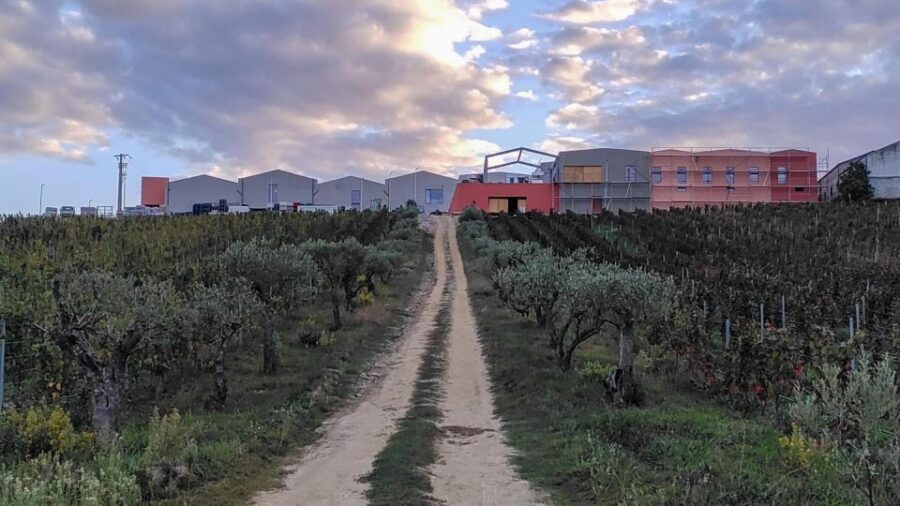 Douro Valley: BARREL PORT TASTING DISCOVERY