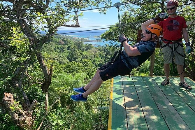 Extreme Zipline, FREE Sloth & Monkey, Beach & Private Transportation - Key Points