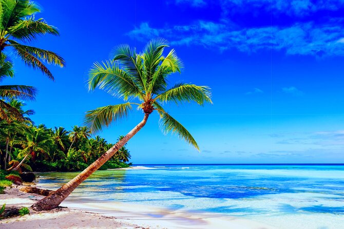 Full-Day Private Punta Cana Saona Tour by Speedboat
