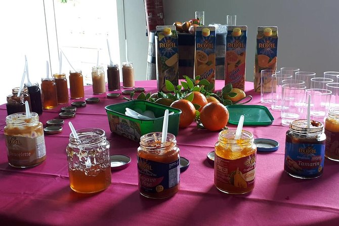 Full Day Tour of Martiniques Diverse Produce Industries