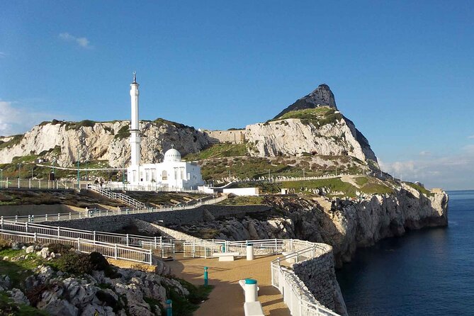 Gibraltar and Dolphins Cruise Day Trip From Costa Del Sol - Tour Overview
