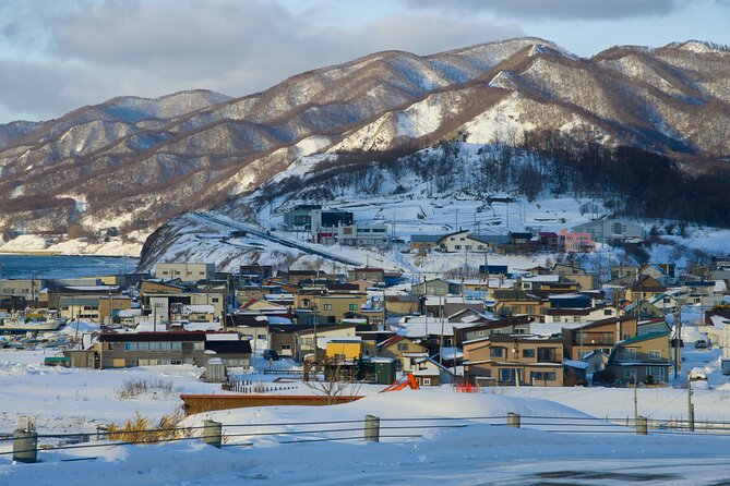 Hokkaido Niseko Ski Day Tour（Depart From Sapporo） - Key Points