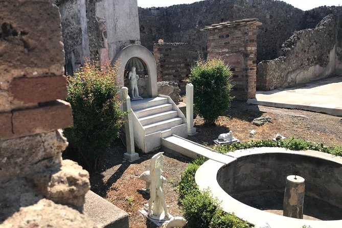 Life and Death of the Roman City of Pompeii With a Local Guide. Private Tour