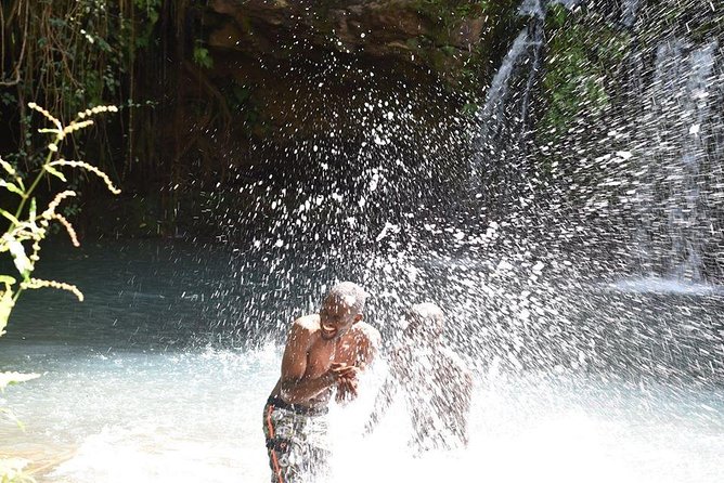 Ngare Ndare Day Trip