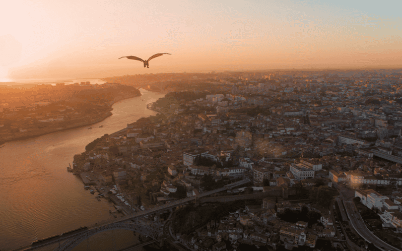 Porto: 5D Flight Over the City for the Whole Family.