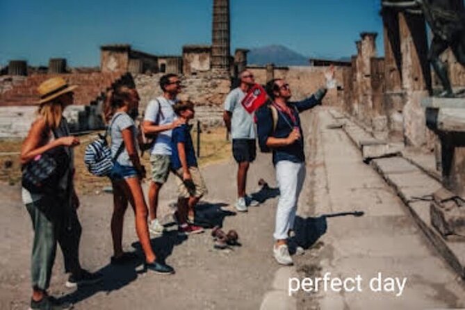 Private Day in Pompeii, Trip to Vesuvius From Naples