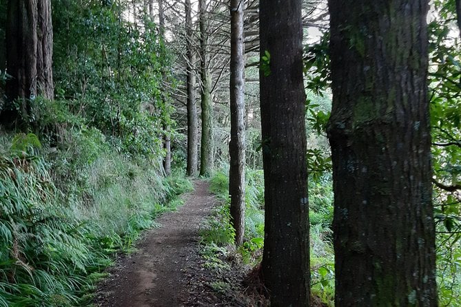 Private Guided Walk Porto Moniz Levada Do Moinho - Key Points