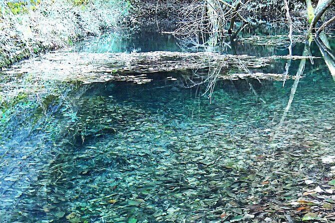 Private Historic Road Hike in the Healing Forest of Arima