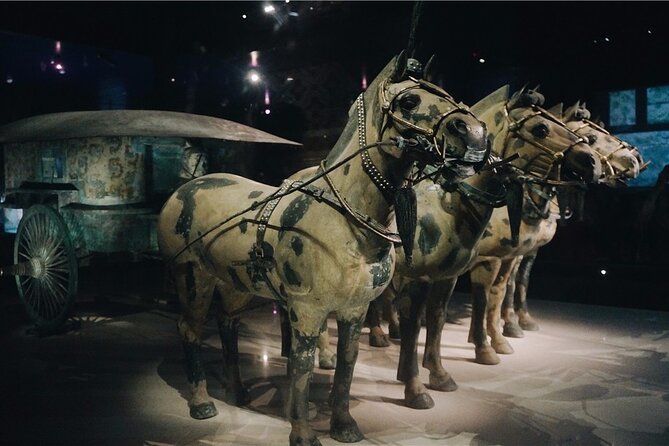 Private Historical and Culture Tour in Xian