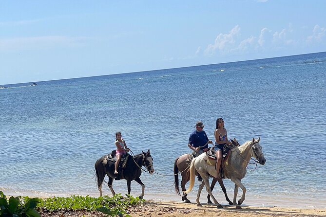 Private Horse Riding With Monkey and Sloth Wild Life + Beach Day