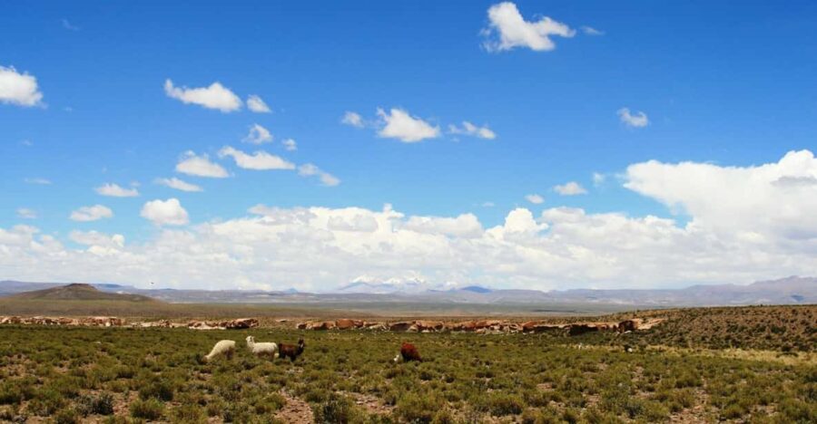 Private VIP Service: San Pedro De Atacama – Uyuni (4d/3n)