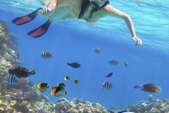 Punta Cana Day Trip: Catalina Island and Altos De Chavon