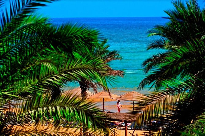 Red Sea Day Trip - Inclusions and Amenities