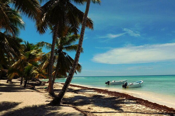 Saona Island Package With Roundtrip Transportation From Airport and Hotels