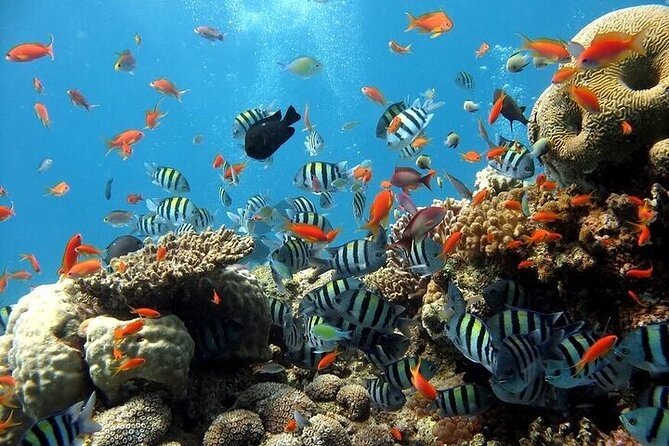 Semi Submarine Hurghada