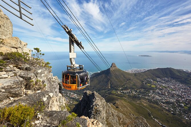 Table Mountain-Wines-Penguins-Cape Point All Inclusive Group Tour - Inclusions and Amenities