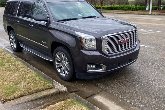 Tampa Airport (TPA) to Tampa Bay Cruise Port - Round-Trip Private Transfer - Accessibility and Participation