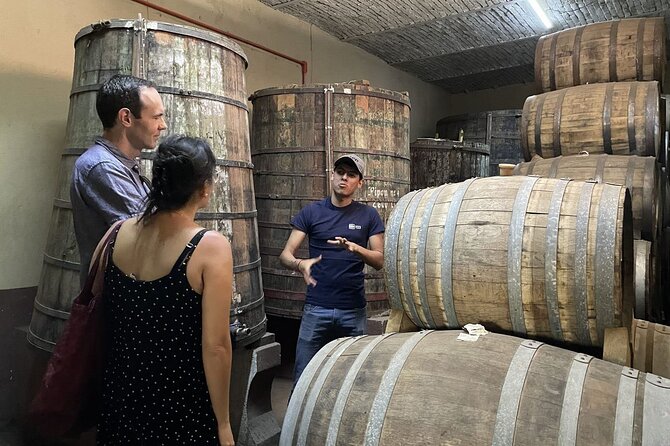 The Essence of Tequila Experience