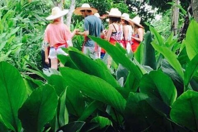 The Taste Of Chiang Mai