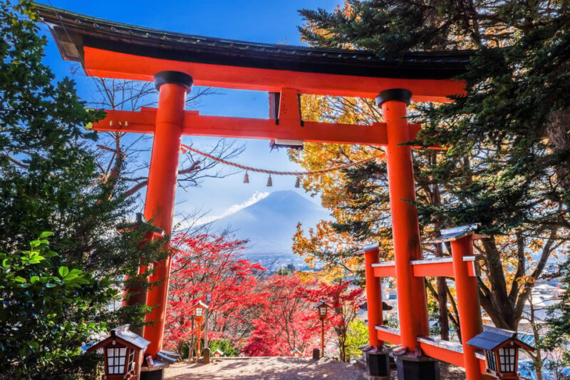 Tokyo：Mount Fuji Popular Instagrammable Sightseeing Tour - Itinerary Highlights