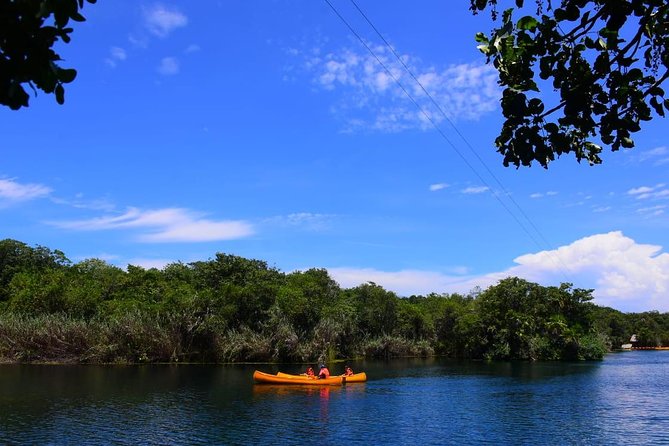 Tulum & Jungle Adventure Private Tour