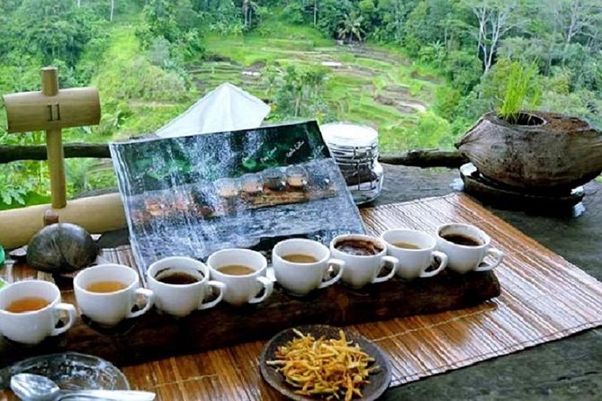 Ubud: White Water Rafting With Visit Ubud Monkey Forest