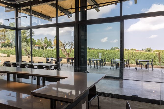 Visit to the Cellar and Tasting