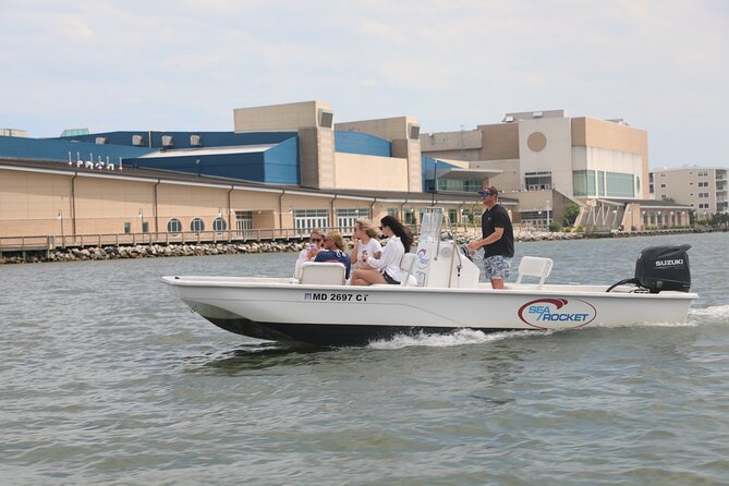 1-Hour Private Party Assateague Island Cruise in Ocean City, MD - Key Points