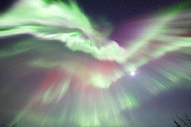 1 Day Shared Tour Arctic Circle and Aurora Viewing in Alaska - Transportation and Pickup Details