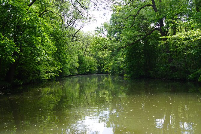 1-Hour 3-Seater Canoe Rental in Leipzig