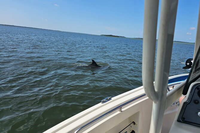 1 Hour Private Dolphin and Nature Tour