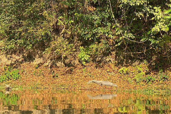 1 Night 2 Days Chitwan Jungle Safari Tour From Pokhara or Kathmandu - Tour Overview
